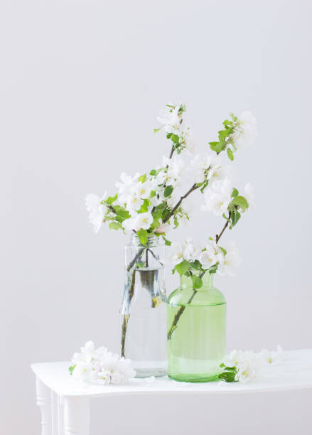 istock apple flowers in glass vase in white interior 1384131823