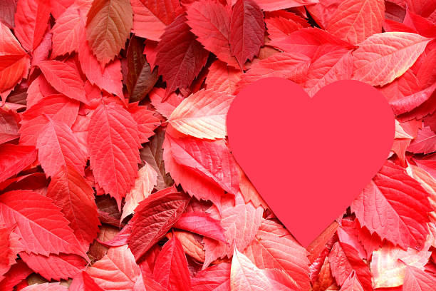 istock Red autumn leaves lie on a flat surface with a heart symbol. 1384135629