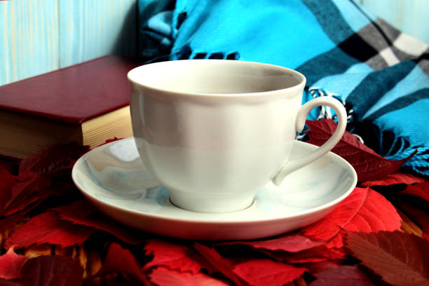 Red autumn leaves and a cup of hot tea