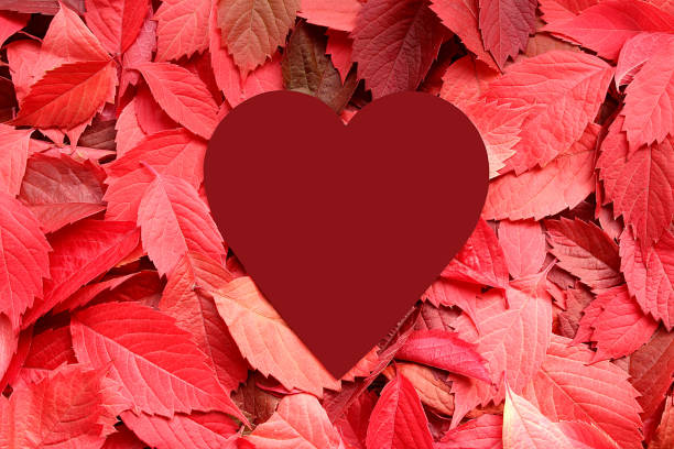 istock Red autumn leaves lie on a flat surface with a heart in the middle. 1384135642