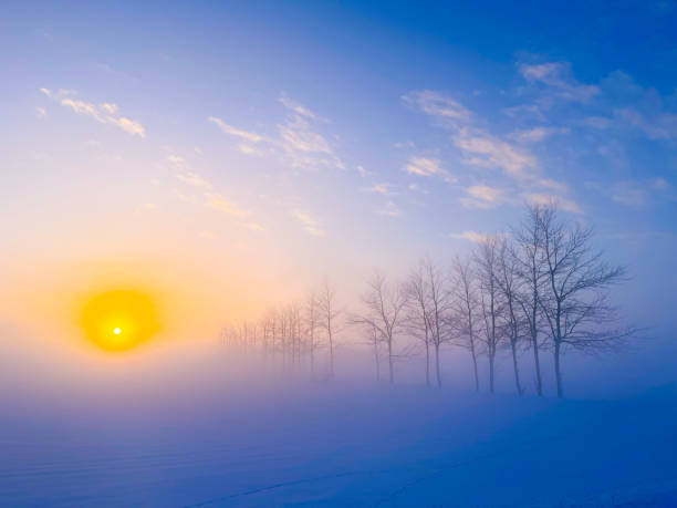 istock In the morning when the sun rises,     trees in winter 1384141401
