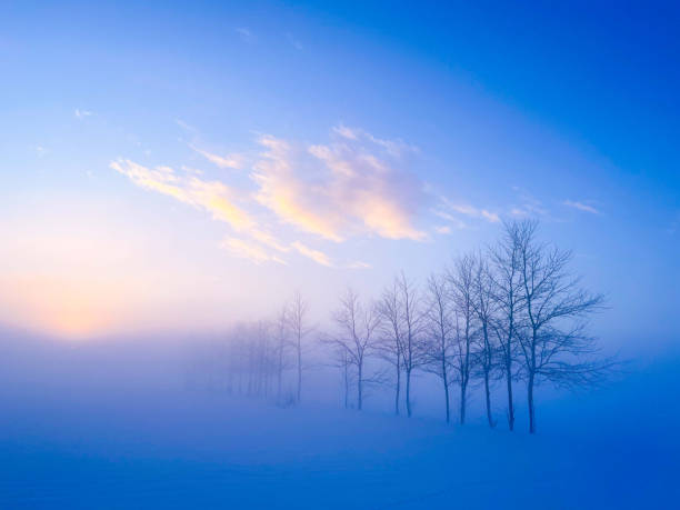 istock In the morning when the sun rises,     trees in winter 1384141408