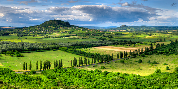 A landscape in summer near Lake Balaton in Hungary with fields, meadows, forests and a country road lined with poplars