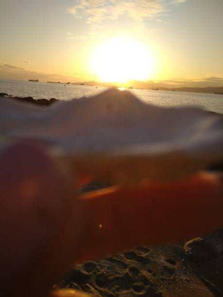 istock Bright sun during sunset at Kitsilano Beach 1384147997