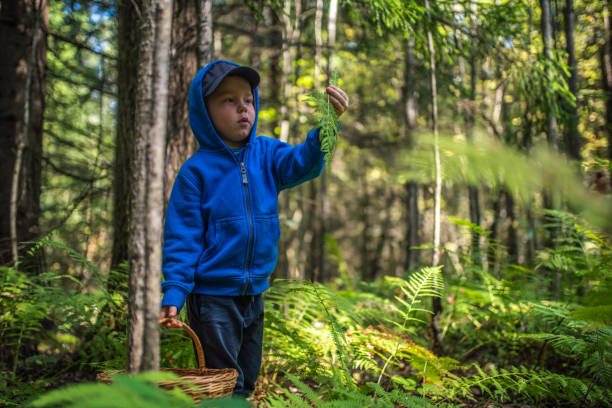 istock Boy with a wicker basket picking mushrooms in the forest 1384148490