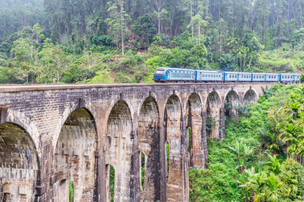 istock Passenger train on the Nine Arches Demodara Bridge 1384149913