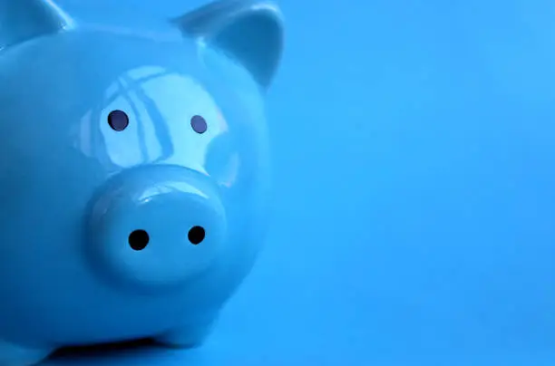 Blue piggy bank on a blue background close-up.