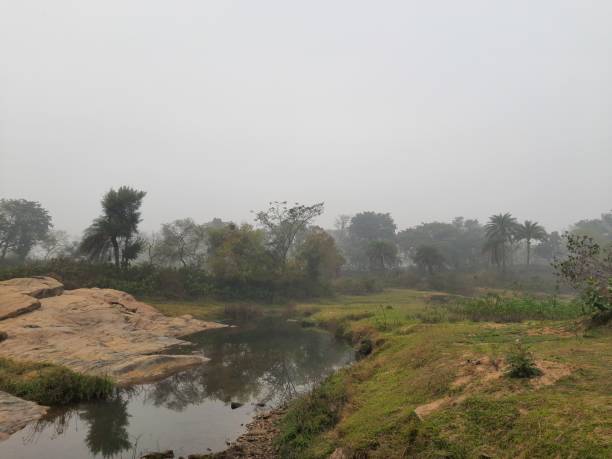 istock Foggy morning in riverbank. 1384150730