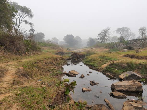 istock Foggy morning in riverbank. 1384151263