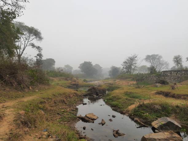 istock Foggy morning in riverbank. 1384151276