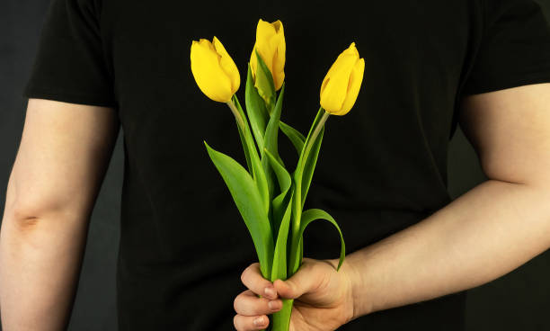 istock A man's hand holds tulips on a black background. 1384155350