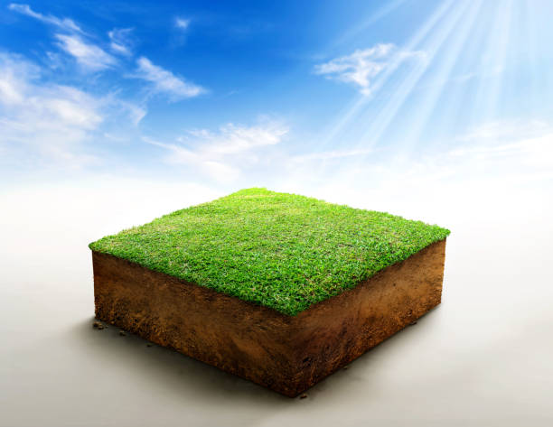 istock 3D Illustration, cubical soil ground cross section with earth land and green grass, Soil layers. 1384159754
