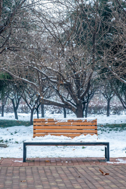 istock A park bench on a snowy winter day 1384162385