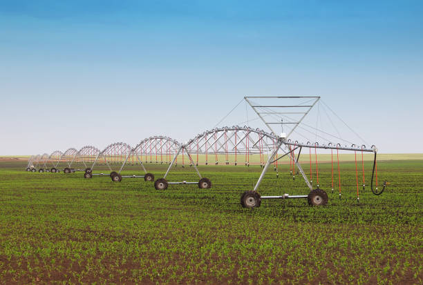 istock Irrigation system on wheels on new crop field 1384175192