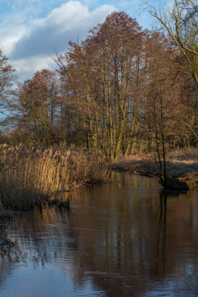 istock Early spring on a small river in central Poland. 1384193879