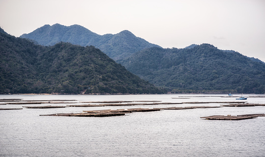 Oyster rafts in Hiroshima Bay, the Inland Sea of Japan with hazy hills and mountains in the background.