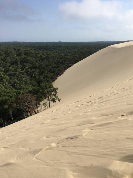 istock Dune of Pyla 1384205334