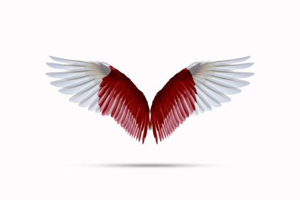 istock Japanese flag colored wings Isolated on white background 1384206964