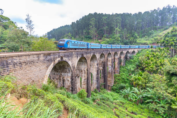 istock Passenger train on the Nine Arches Demodara Bridge 1384214045