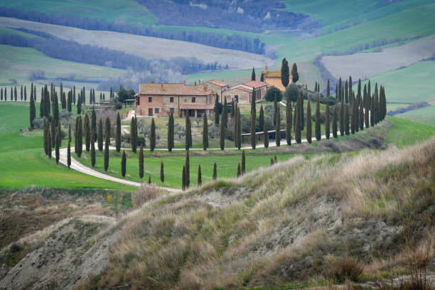 Typical Tuscan landscape. One of the most famous location with cypresses trees and white gravel road in Tuscany, near Asciano (Siena). Italy. stock photo