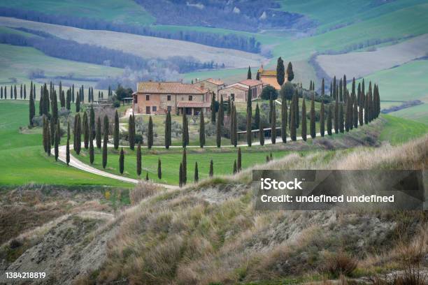 Typical Tuscan Landscape One Of The Most Famous Location With Cypresses Trees And White Gravel Road In Tuscany Near Asciano Italy Stock Photo - Download Image Now