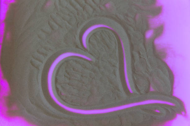 Red heart shaped stone on sand surface with copy-space