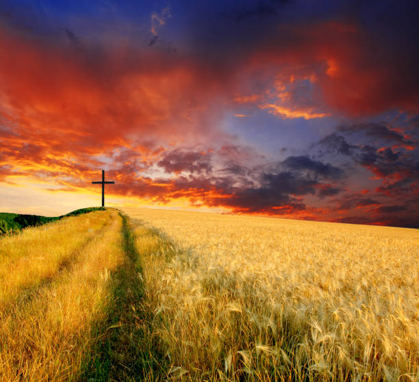 croce - cross autumn sky beauty in nature foto e immagini stock