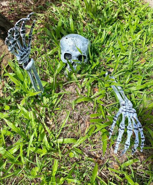 istock Halloween Skeleton Skull in Ground 1384220466