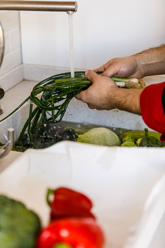 Selective focus shot of unrecognizable male chef washing green onions, among other vegetables, over the kitchen sink, under the running water.