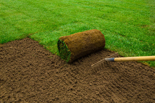 Lawned garden stock photo