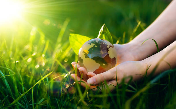 istock Environment day and Earth Day concept. Save clean planet, ecology development. Renewable energy-based green businesses can limit climate change and global warming. 1384228349