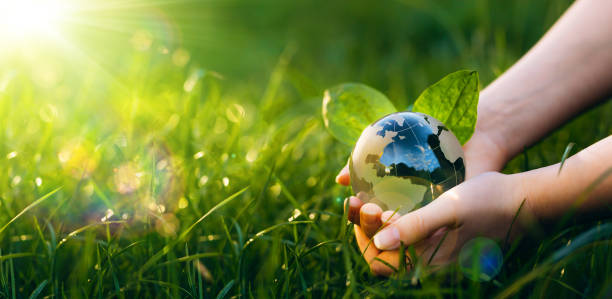 istock Environment day and Earth Day concept. Save clean planet, ecology development. Renewable energy-based green businesses can limit climate change and global warming. 1384229677