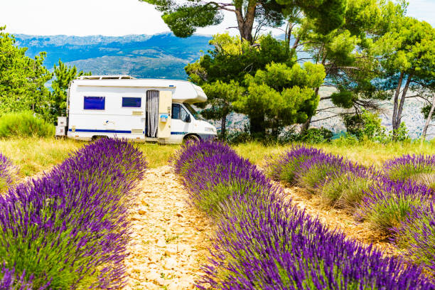 istock Caravan camping at lavender field, France 1384235578