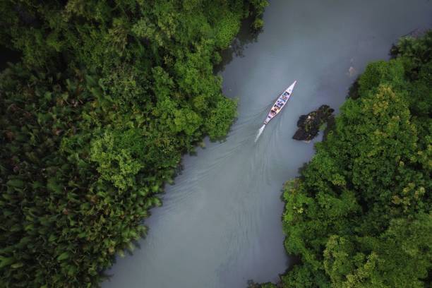 istock A boat down the river at Rammang-Rammang 1384240209