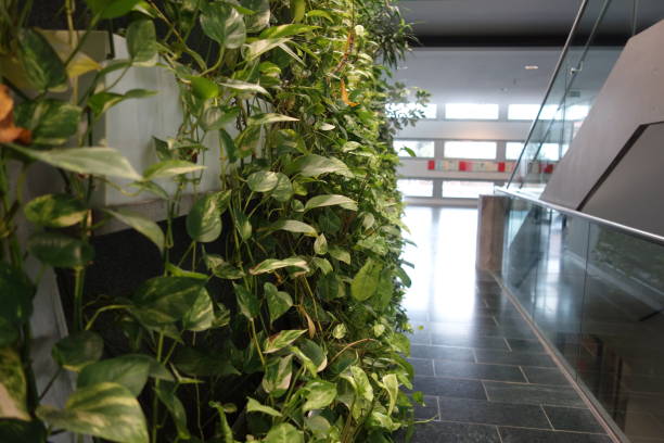 istock facade greening or wall greening 1384241879
