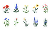 set-von-pixel-kunstblumen-vintage-90s-gaming-8-bit-ikone-von-mohn-lavendel-kamille-klee.jpg?b=1&s=170x170&k=20&c=Vl6D_-fy5Gr20fmPLGcZtYRh3cYFZgzJSIleu8iNfSQ=