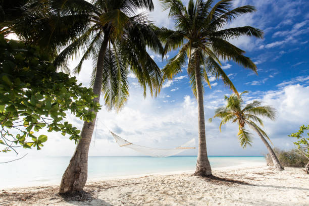 Hammock during summer day on the beach of Maldives without people.