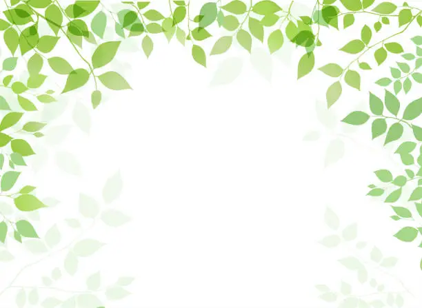 Vector illustration of Green leaf on a white background