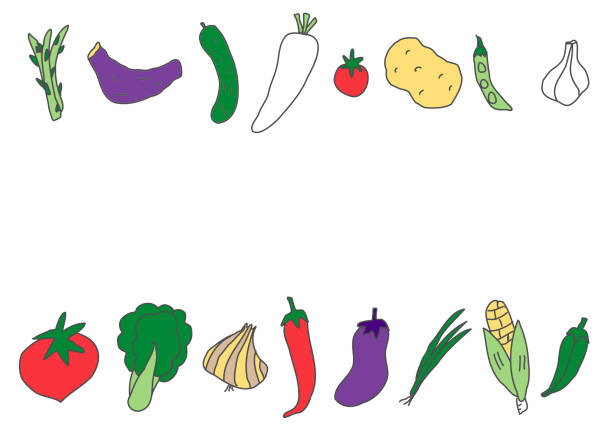 ilustraciones, imágenes clip art, dibujos animados e iconos de stock de conjunto de ilustraciones dibujadas a mano de verduras - green pea pea pod vegetable cute