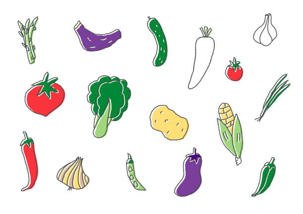 ilustraciones, imágenes clip art, dibujos animados e iconos de stock de conjunto de ilustraciones dibujadas a mano de verduras - green pea pea pod vegetable cute