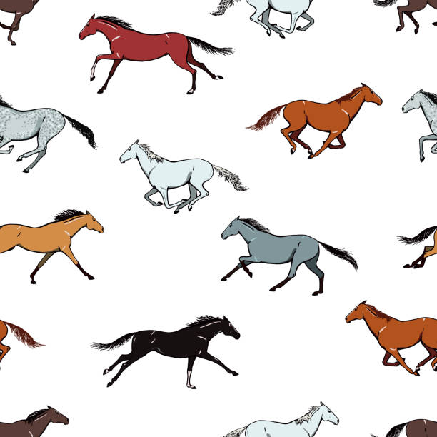 galopujący koń bezszwowy wzór. kolor sierści koni biegnący zestaw ruchowy. - horseback riding illustrations stock illustrations