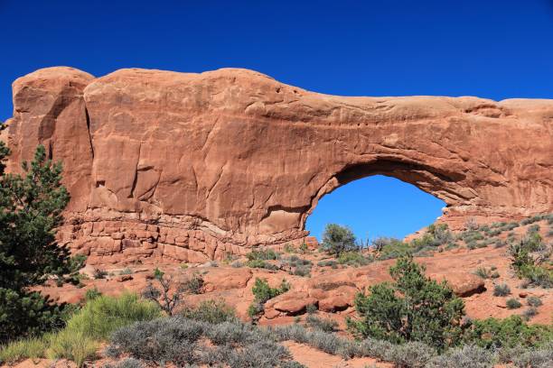 istock Utah Arches National Park 1384255954