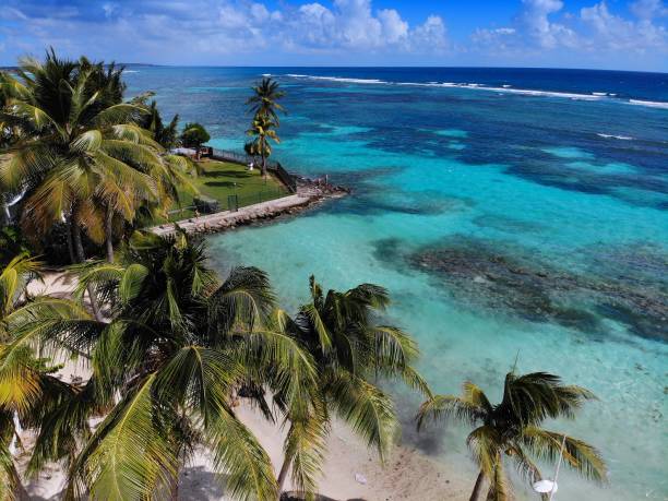 istock Guadeloupe coral reef - Sainte Anne 1384256605