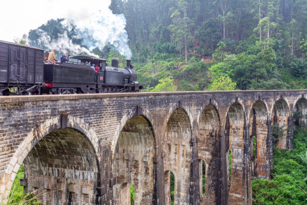 istock Steam train on the Nine Arches Demodara Bridge 1384256717