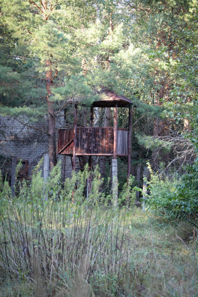 istock Guard Tower in Duga Radar Base, Chernobyl Exclusion Zone, Ukraine 1384257678