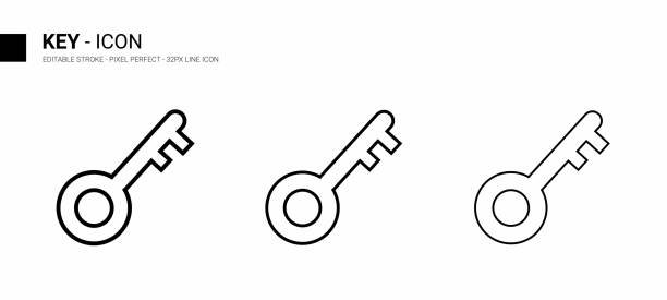 ilustrações de stock, clip art, desenhos animados e ícones de key line icon design, editable stroke, pixel perfect, stock illustration. - skeleton key