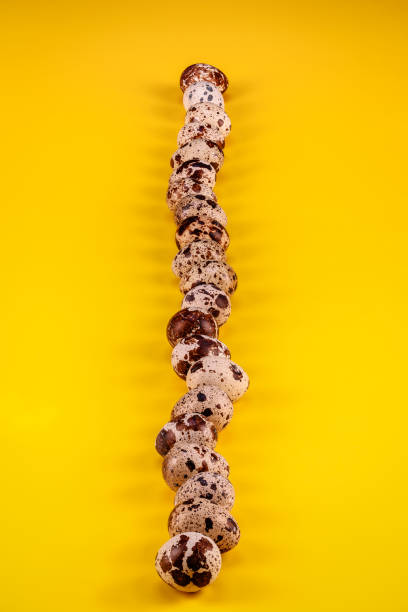istock image with eggs of (Coturnix coturnix), on Yellow background 1384259636
