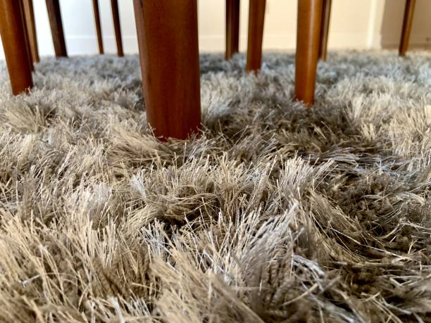 Shag carpet in dining room