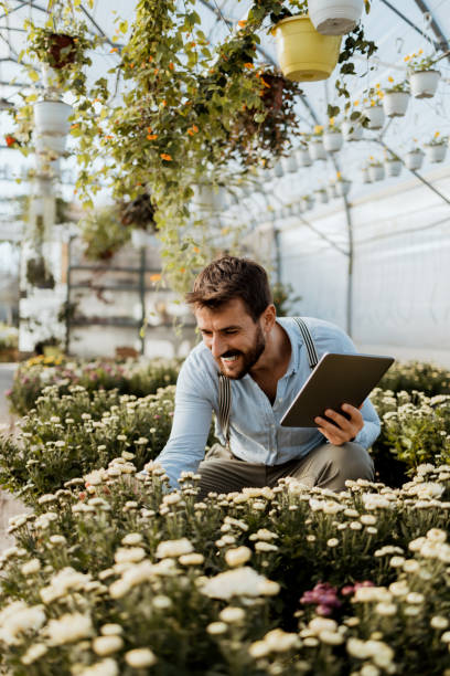 istock Male worker in greenhouse 1384261634