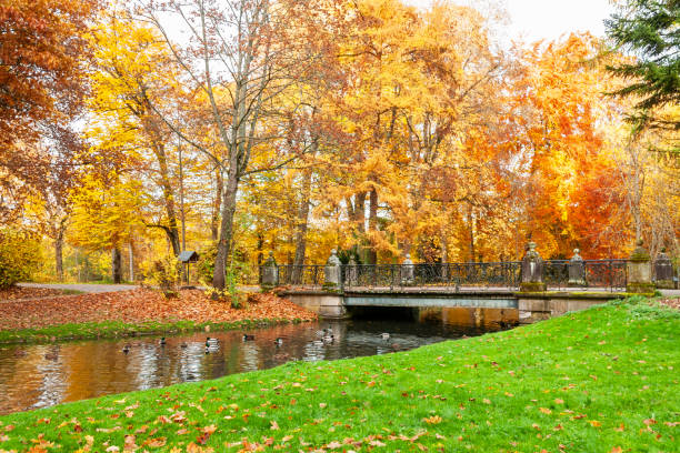 autumn park with yellow leaves, Indian summer